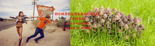 молекула духа Балабаново