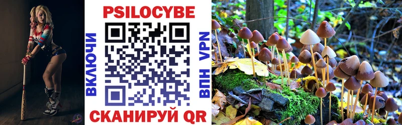 сколько стоит  Губкинский  Псилоцибиновые грибы GOLDEN TEACHER 